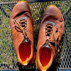 Men’s Ecco Golf Shoe